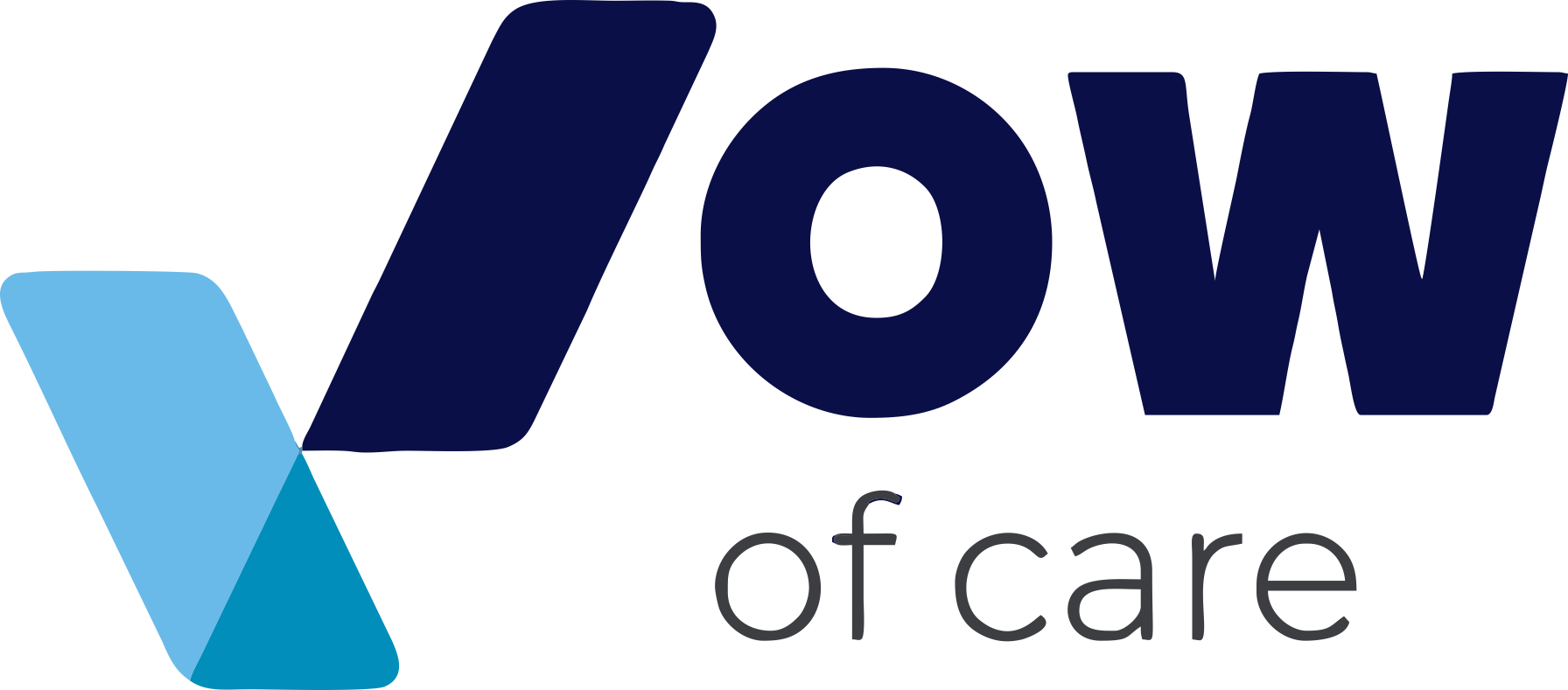 Vow of Care
